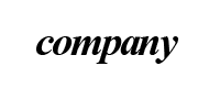 Big Company